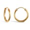 9ct Yellow Gold Hoop Earrings