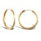 9ct Yellow Gold Hoop Earrings