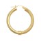 9ct Yellow Polished & Mesh Hoop Earring