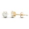 9ct Yellow Gold CZ Claw Set Studs