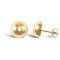 9ct Yellow Gold Stud Earrings