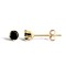 9ct Yellow Gold Black Cubic Zirconia Claw Set Studs