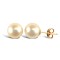 9ct Yellow Gold Pearl Stud Earrings