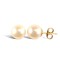 9ct Yellow Gold Pearl Stud Earrings