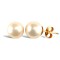 9ct Yellow Gold Pearl Stud Earrings