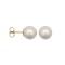 10 - 10.5mm Cultured Pearl Stud Earrings - 9ct Yellow Fittings