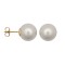 12 - 13mm South Sea Pearl Stud Earrings - 9ct Yellow Fittings