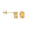 9ct Yellow Gold 6x4 Citrine Stud Earrings