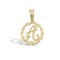 9ct Yellow Gold Rope initial Pendant