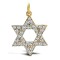 9ct Yellow Gold Cubic Zirconia Star Of David Pendant