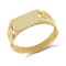 9ct Yellow Gold Signet Ring