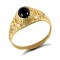 9ct Yellow Gold College Ring